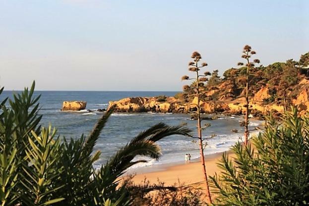 Sunny Apartment Close To The Beach Αλμπουφέιρα Εξωτερικό φωτογραφία